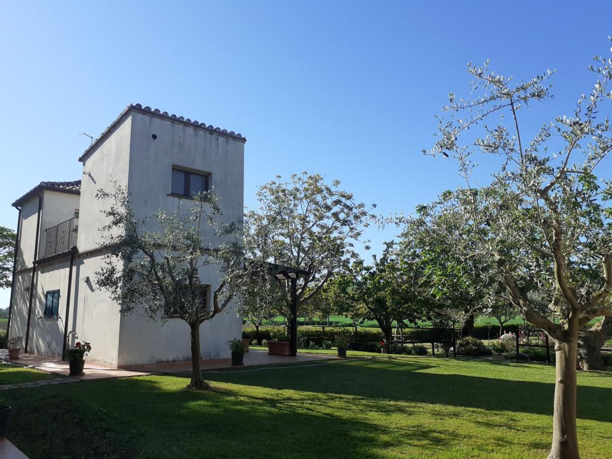 Silos Torrenova Potenza Picena Ngoại thất bức ảnh